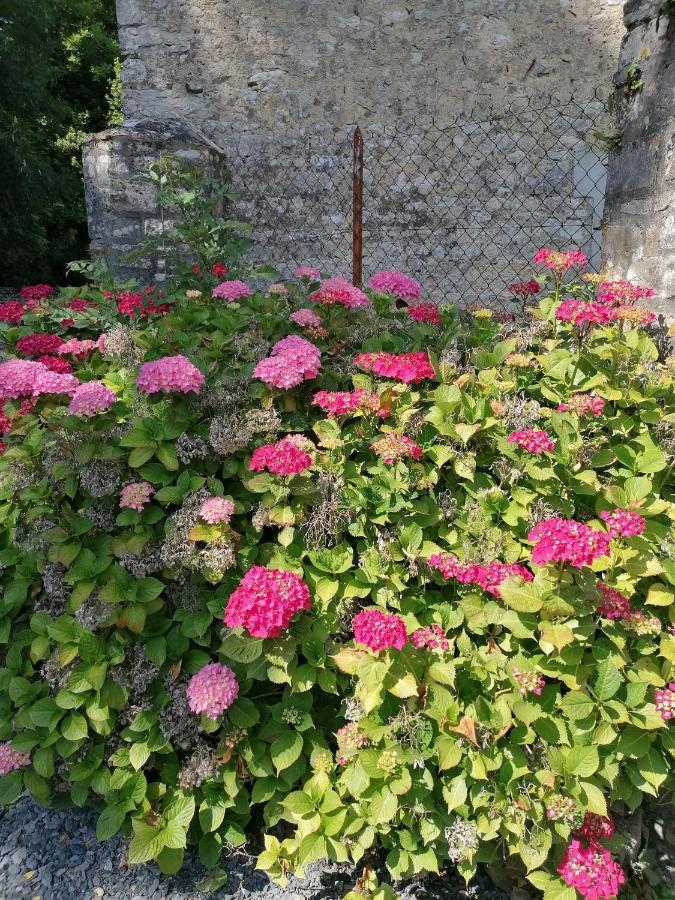 Maison renovee en pierres avec jardin près Omaha beach&Bayeux à 5mn de Port en Bessin Commes Extérieur photo