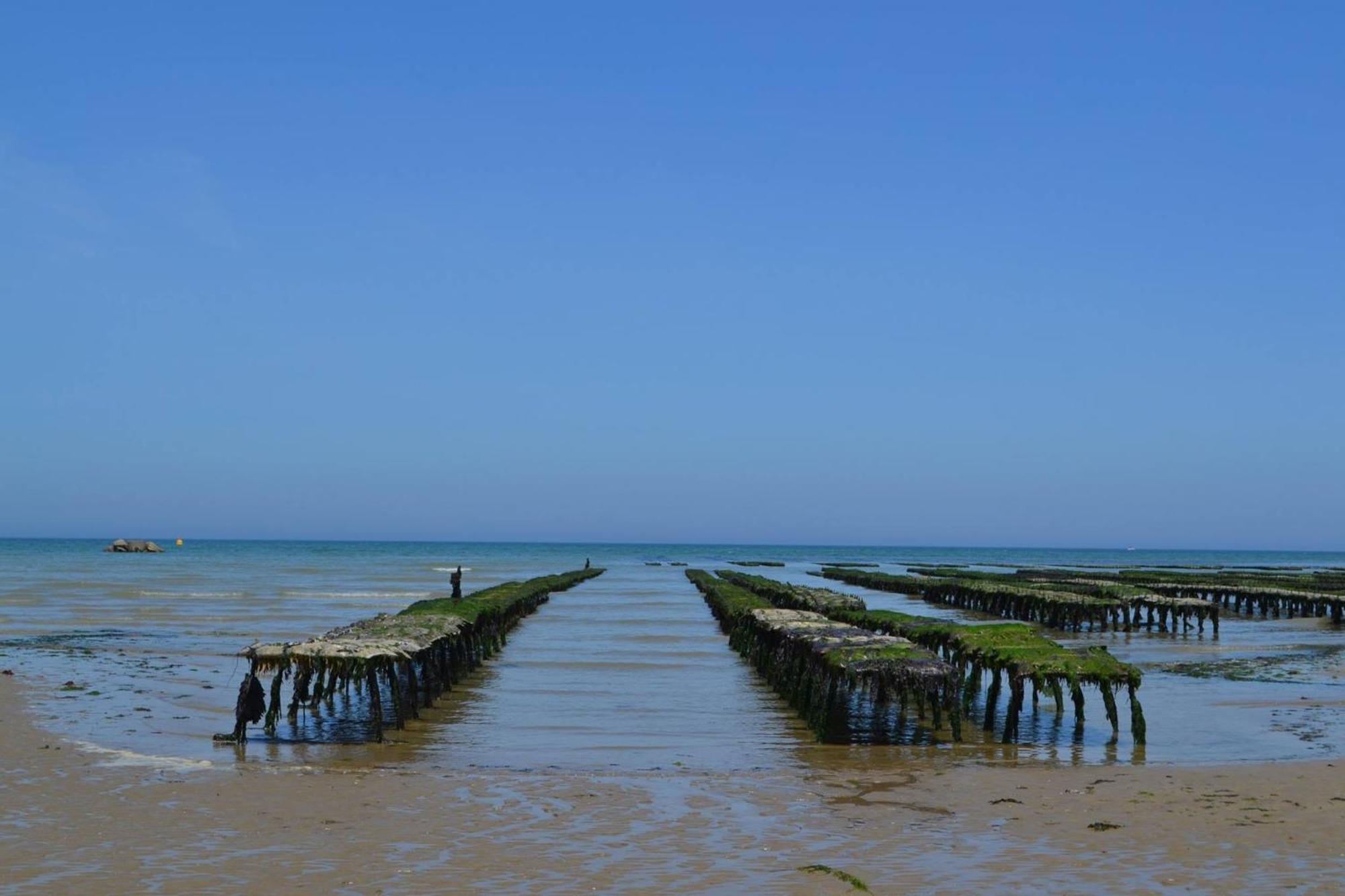 Maison renovee en pierres avec jardin près Omaha beach&Bayeux à 5mn de Port en Bessin Commes Extérieur photo